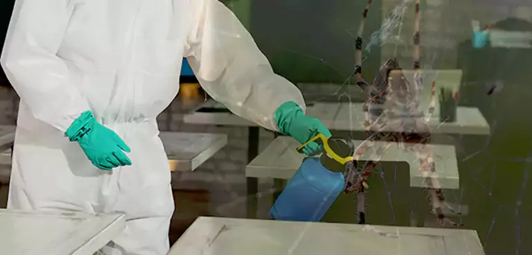 Why Buyers Still Want Homes With Pest Infestations in Philadelphia, PA?