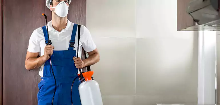 Why Philadelphia Homeowners Choose Us When Pests Make Selling Difficult